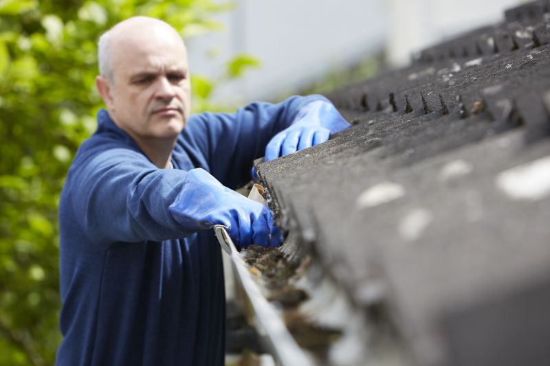 Professional Gutter Inspection