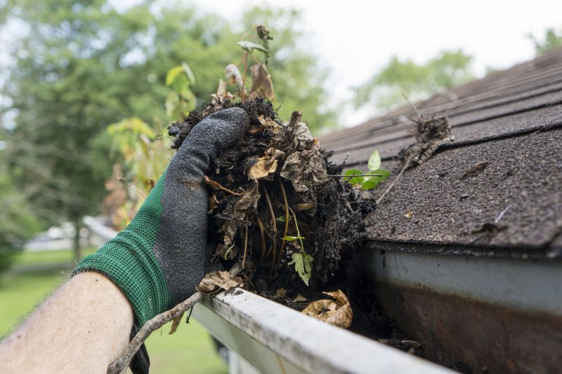 Debris Removal from Roof