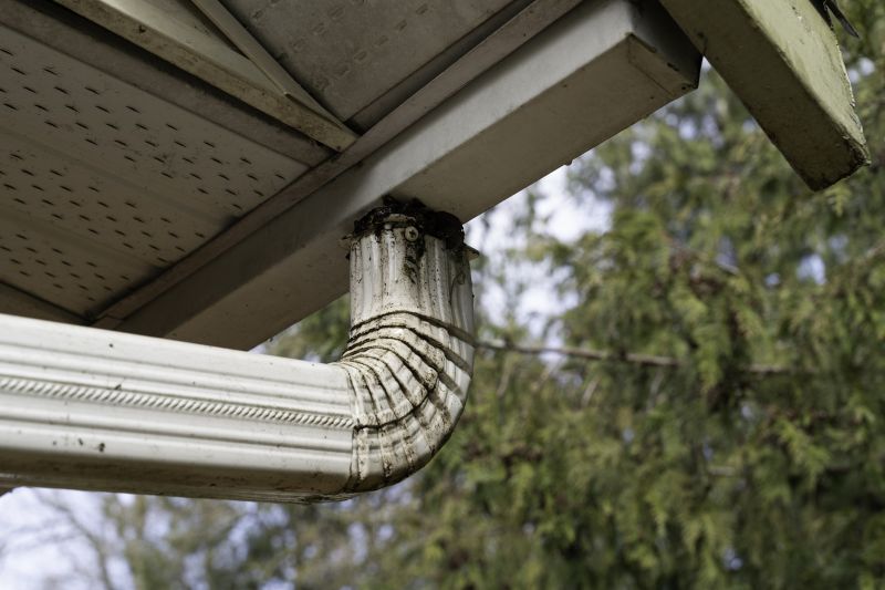 Gutter Drain Maintenance
