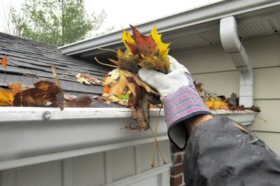 Downspout Cleaning
